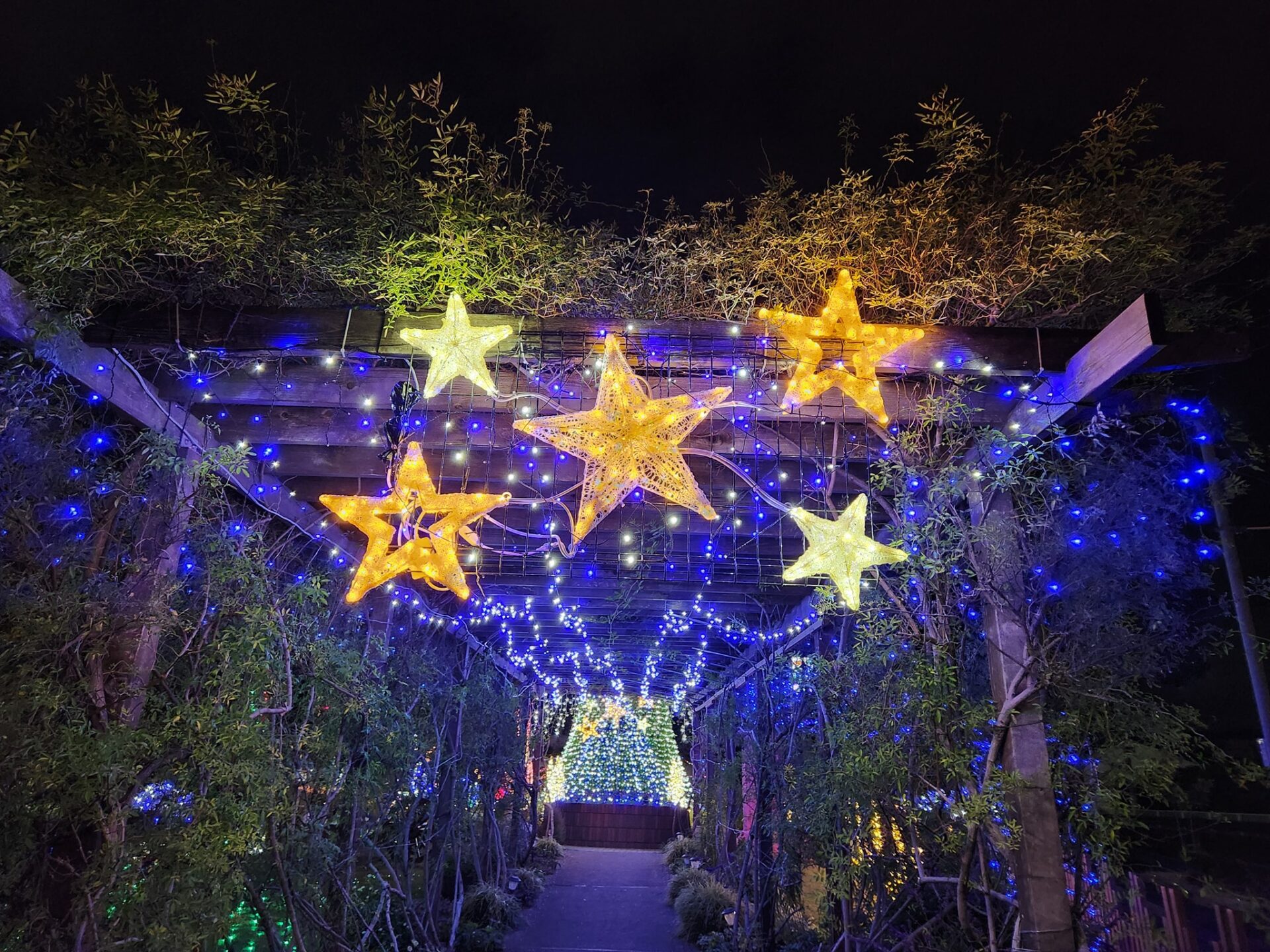 松本町一丁目緑地イルミネーション点灯開始しました！ - 東松山市都市