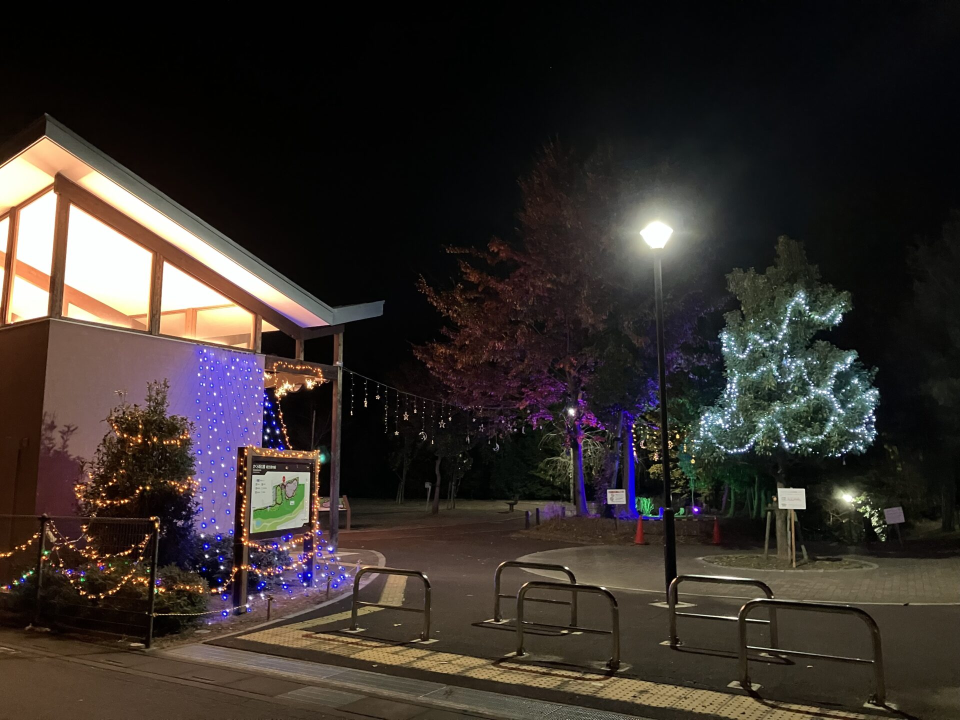 さくら坂公園イルミネーション点灯開始のお知らせ - 東松山市都市公園施設